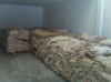 Foto de Luis raul pea robledo-cuero curtido y pieles