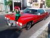 Foto de Caddy Rent