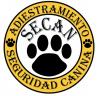 Foto de Educaci�n y adiestramiento canino secan